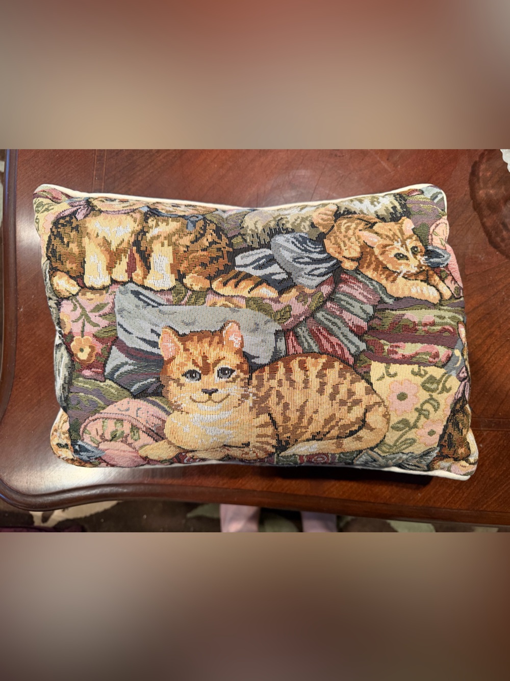 Decorative Orange Tabby Cat Dog Pillow Cover - Pets Dog